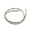 Natural Green Spot Jasper Beads Strands G-G783-11-2