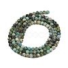 Natural African Turquoise(Jasper) Beads Strands G-P472-01-5