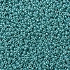 MIYUKI Round Rocailles Beads SEED-G007-RR0435-3