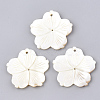 Freshwater Shell Pendants SHEL-S274-16-1