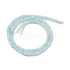 Natural Freshwater Shell Dyed Beads Strands SHEL-R100-11A-03-2