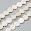 Natural Freshwater Shell Beads BSHE-I011-01D-02-1