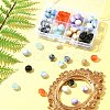 80Pcs 8 Colors Two Tone Transparent/Opaque Acrylic Beads TACR-FS0001-48-8