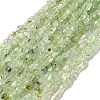 Natural Prehnite Beads Strands G-I389-A19-2
