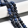 Natural Dumortierite Beads Strands G-G167-A06-10MM-2