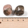 Natural Rhodonite Beads G-Z062-10B-3