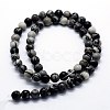 Natural Black Silk Stone/Netstone Beads Strands G-I199-11-8mm-2