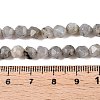 Natural Grey Labradorite Beads Strands G-T138-225-5