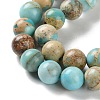 Dyed Natural Regalite/Imperial Jasper/Sea Sediment Jasper Beads Strands X-G-B124-C01-15-4
