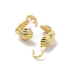 Brass Linking Rings FIND-Z039-19G-2