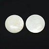 Half Round/Dome Freshwater Shell Cabochon PBB236Y-1