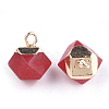 Electroplate Natural White Jade Charms X-G-S344-08G-2