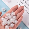 Transparent Acrylic Beads TACR-S152-09C-06-5