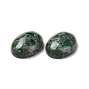 Natural Malachite Cabochons G-E464-42O-3