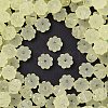 Frosted Transparent Acrylic Beads OACR-P029-03B-03-1