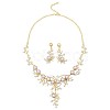 Flower Alloy & Plastic Pearl & Crystal Rhinestone Pendant Necklaces & Stud Dangle Earrings Sets FS-WG18295-02-2