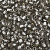 Silver Lined Glass Seed Beads SEED-T007-18A-04-3