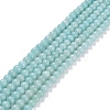 Grade A Natural Amazonite Beads Strands G-C046-01C-1