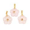 Natural Rose Quartz Carved Pendants G-A315-01G-08-1