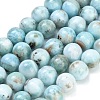 Natural Larimar Beads Strands GG-CBA007A-B01-10mm-2