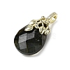 Natural Labradorite Faceted Teardrop Pendants KK-D021-03F-G-2