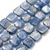 Natural Kyanite Beads Strands G-H335-L01-8mm-2