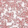 Luminous Glass Seed Beads SEED-A033-07M-4
