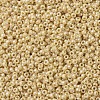 MIYUKI Round Rocailles Beads X-SEED-G007-RR0488-2