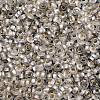 TOHO 6/0 Demi Round Beads X-SEED-DR06-PF21F-3