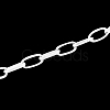 Iron Paperclip Chains CH-R025-10x5mm-S-1