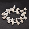 Nuggets Electroplated Natural Druzy Quartz Crystal Beads Strands G-A142-07A-2