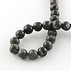 Natural Larvikite Round Beads Strands G-R342-6mm-09-3