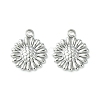 Non-Tarnish 304 Stainless Steel Charms LS-STAS-L269-062P-2