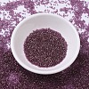 MIYUKI Delica Beads Small SEED-JP0008-DBS0108-2