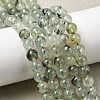 Natural Prehnite Beads Strands G-G457-6mm-03-7