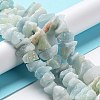 Natural Aquamarine Chip Beads Strands G-M406-A01-3