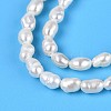 Natural Cultured Freshwater Pearl Beads Strands PEAR-T006-30-4