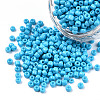 Baking Paint Glass Seed Beads SEED-S001-K10-3