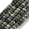 Natural Silver Line Jasper Beads Strands G-Z042-B01-04-1