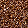 MIYUKI Delica Beads X-SEED-J020-DB1779-3