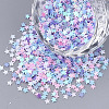 Ornament Accessories PVC-T005-041-1
