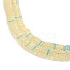 Electroplate Glass Beads Strands GLAA-B023-01A-05-3