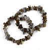 Unisex Chip Natural Labradorite Beaded Stretch Bracelets BJEW-S143-19-7