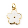Rack Plating Brass Enamel Charms KK-G387-09G-2