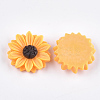 Resin Cabochons CRES-T010-57-2