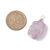 Raw Rough Natural Amethyst Copper Wire Wrapped Pendants PALLOY-JF02787-01-2