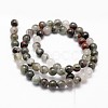 Natural African Bloodstone Beads Strands G-G735-32-10mm-2