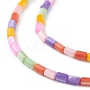 Natural Freshwater Shell Dyed Beads Strands X-SHEL-M018-12-13-3
