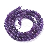 Natural Lepidolite/Purple Mica Stone Beads Strands G-D0020-15-4mm-2