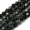 Natural Kambaba Jasper Beads Strands G-Z119-A20-01-3